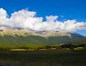 IMG_1089 copy